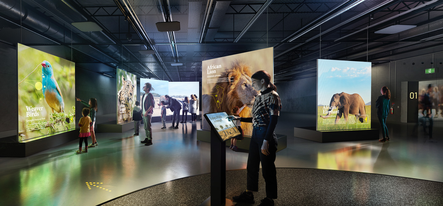 HDMI is Perfect for TVs, Monitors and Projectors