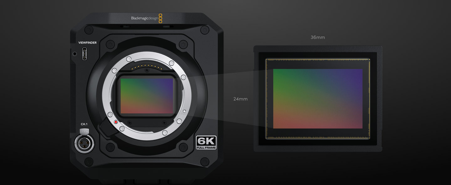 Large Format Cinematic Digital Film Sensor!